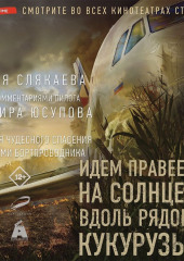 Идем правее, на солнце, вдоль рядов кукурузы. История чудесного спасения глазами бортпроводника