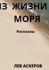 Из жизни у моря