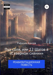 Пуд соли, или 12 Шагов в «Северном сиянии»