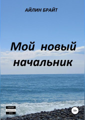 Мой новый начальник