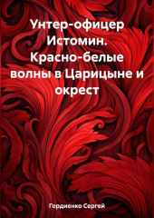 Унтер-офицер Истомин. Красно-белые волны в Царицыне и окрест