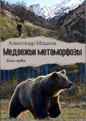 Медвежьи метаморфозы