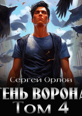 Тень Ворона – 4