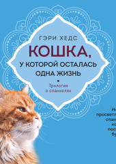 Кошка, у которой осталась одна жизнь