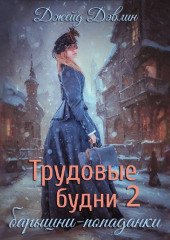 Трудовые будни барышни-попаданки. Книга 2