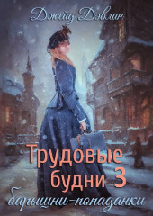 Трудовые будни барышни попаданки. Книга 3