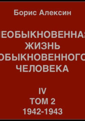 Необыкновенная жизнь обыкновенного человека. Книга 4. Том 2