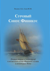 Суровый Синус Финикус. Очерки аварий и катастроф в восточной части Финского залива и акватории Невы