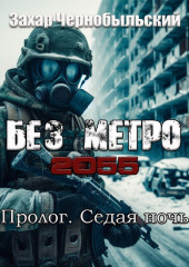 Без метро 2055. Пролог. Седая ночь