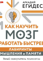 Как научить мозг работать быстрее. Лабиринты мышления и памяти