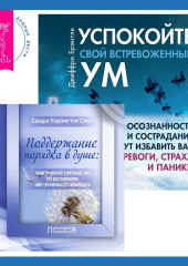 Поддержание порядка в душе: практическое руководство по достижению эмоционального комфорта + Успокойте свой встревоженный ум