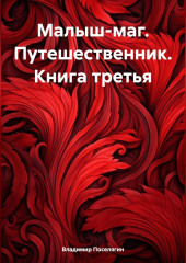 Малыш-маг. Путешественник. Книга третья