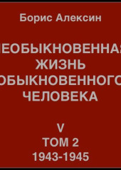 Необыкновенная жизнь обыкновенного человека. Книга 5. Том 2