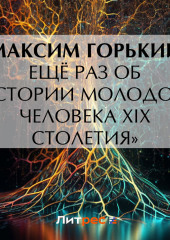 Ещё раз об «Истории молодого человека XIX столетия»