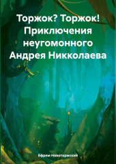 Торжок? Торжок! Приключения неугомонного Андрея Никколаева