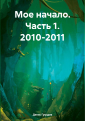 Мое начало. Часть 1. 2010-2011