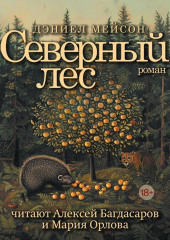 Северный лес