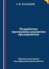 Разработка программы развития предприятия. Пример выпускной квалификационной работы