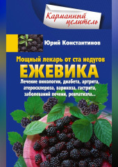 Мощный лекарь от ста недугов. Ежевика. Лечение онкологии, диабета, артрита, атеросклероза, варикоза, гастрита, заболеваний печени, ревматизма…