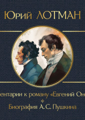 Комментарии к роману «Евгений Онегин». Биография А. С. Пушкина