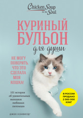 Куриный бульон для души. Не могу поверить, что это сделала моя кошка! 101 история об удивительных выходках любимых питомцев